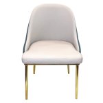 0584095 Modern Living Room Chair With Golden Metal Legs Dubai Sharjah Abu Dhabi
