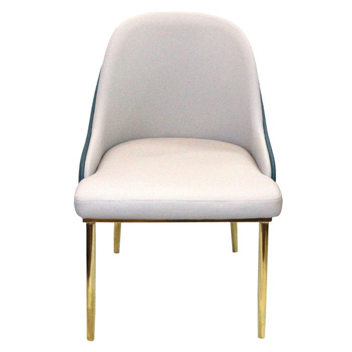 0584095 Modern Living Room Chair With Golden Metal Legs Dubai Sharjah Abu Dhabi