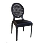 11 Premium Fiber Plastic Dining Chair Dubai Sharjah Abu Dhabi