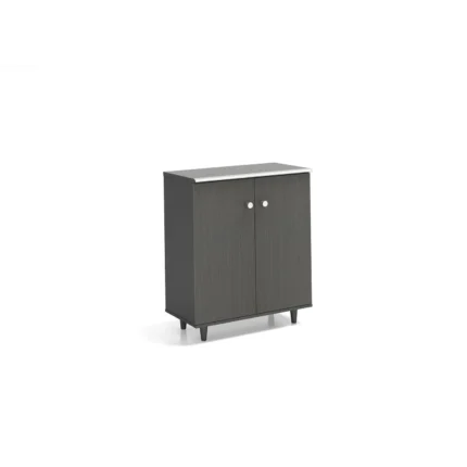 2 Door Low Height Storage Cabinet -dubai-sharjah-abu-dhabi