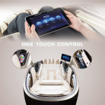 Gemini Massage Chair - Brown