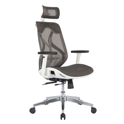 Ergonomic  Office Chair, Gray