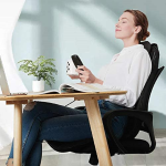 Shiatsu Back Massager Cushion
