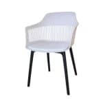 canis chair dubai sharjah abu dhabi