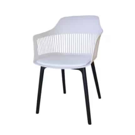 canis chair dubai sharjah abu dhabi