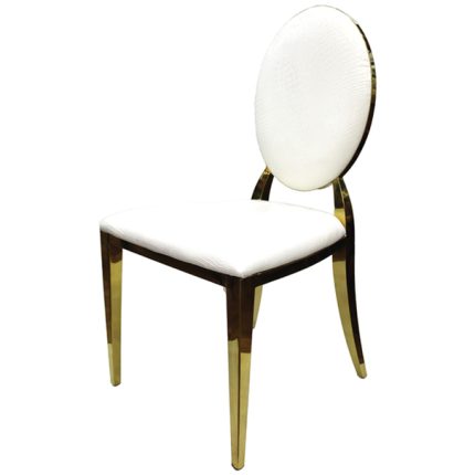 Stainless Dining Chair