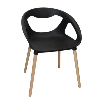 Modern Design Dining Chair