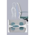 Mesh Task Chair Dubai, Sharjha and Abu Dhabi