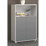 2 Door Vertical Filing Cabinet Dubai, Sharjha and Abu Dhabi