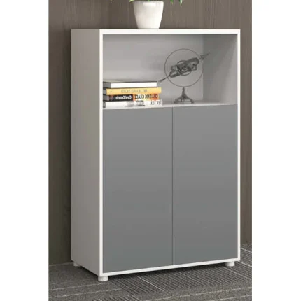 2 Door Vertical Filing Cabinet Dubai, Sharjha and Abu Dhabi