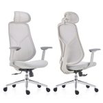 3d-ergonomic-chair-with-3d-adjustable-armrests,-adjustable-headrest-dubai,-sharjha-and-abu-dhabi