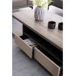 55 inch Wide Rectangle Coffee Table for Office Room Dubai, Sharjha and Abu Dhabi