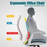Ergonomic Office Chair with Lumbar Support Dubai, Sharjha and Abu Dhabi