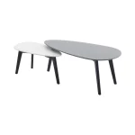 Navar Coffee Table Set 2PCS Dubai, Sharjha and Abu Dhabi
