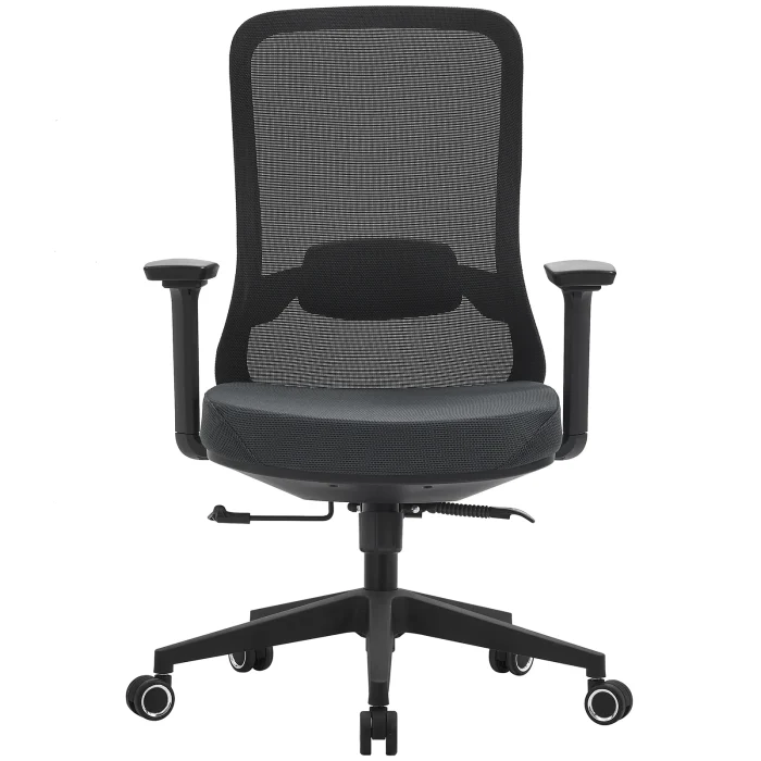 Office Chair with Lumbar Support 3D Armrest, Black