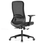 Office Chair with Lumbar Support 3D Armrest, Black
