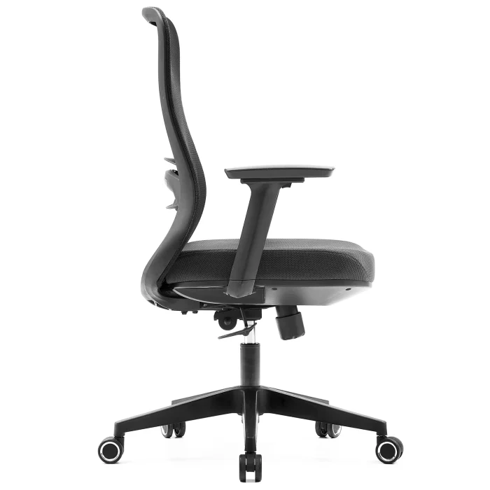 Office Chair with Lumbar Support 3D Armrest, Black