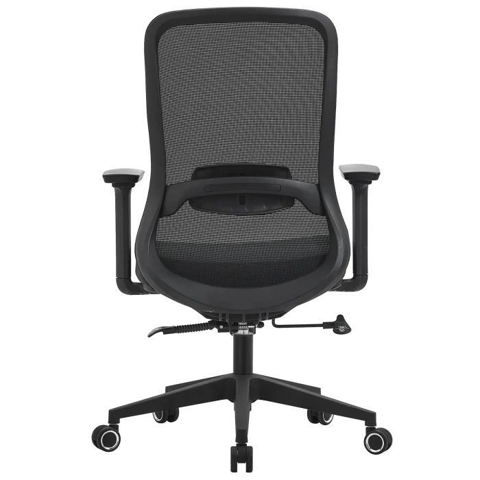 Office Chair with Lumbar Support 3D Armrest, Black