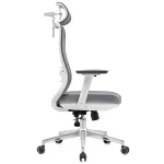 Mesh Chair with 3D Adjustable Headrest & Armrest Dubai, Sharjha and Abu Dhabi