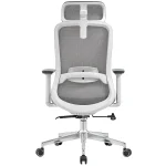Mesh Chair with 3D Adjustable Headrest & Armrest Dubai, Sharjha and Abu Dhabi