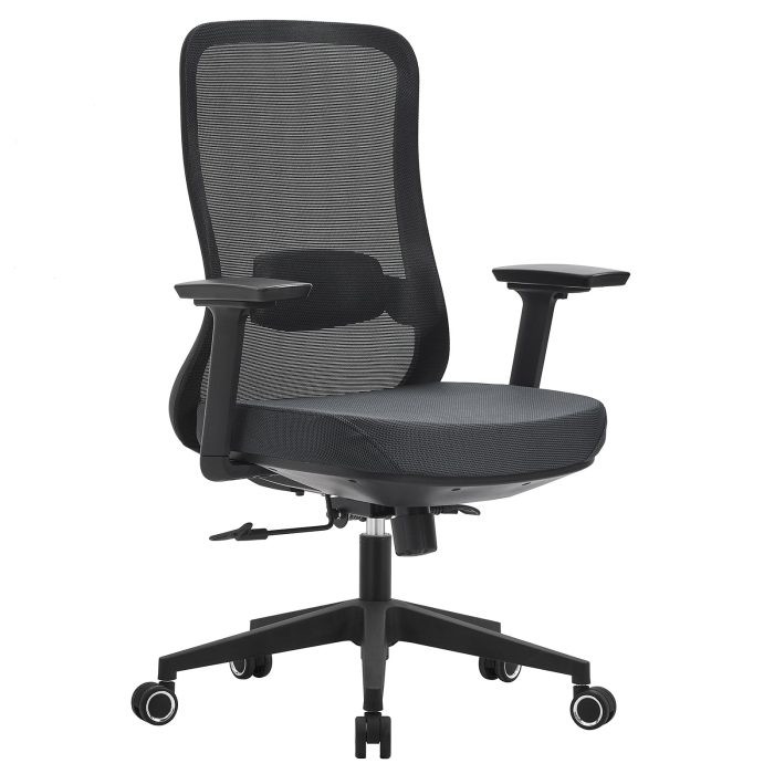 Office Chair with Lumbar Support 3D Armrest, Black