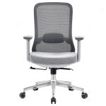 Office Chair with Lumbar Support 3D Armrest, Gray