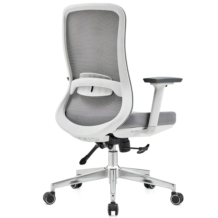Office Chair with Lumbar Support 3D Armrest, Gray