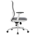 Office Chair with Lumbar Support 3D Armrest, Gray