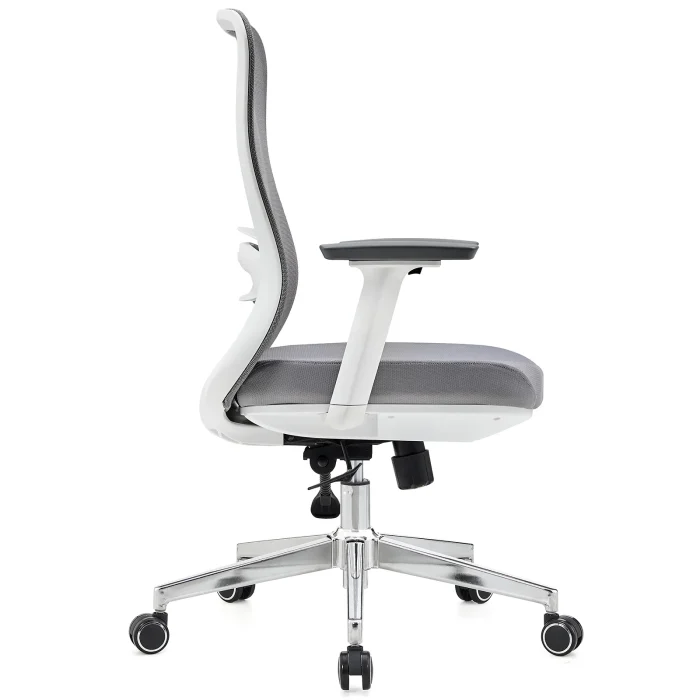 Office Chair with Lumbar Support 3D Armrest, Gray