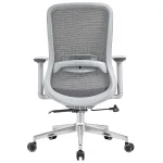 Office Chair with Lumbar Support 3D Armrest, Gray
