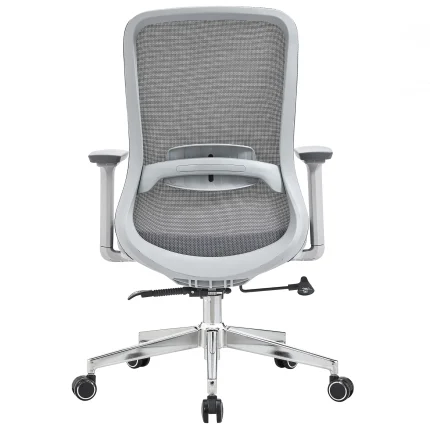 Office Chair with Lumbar Support 3D Armrest, Gray